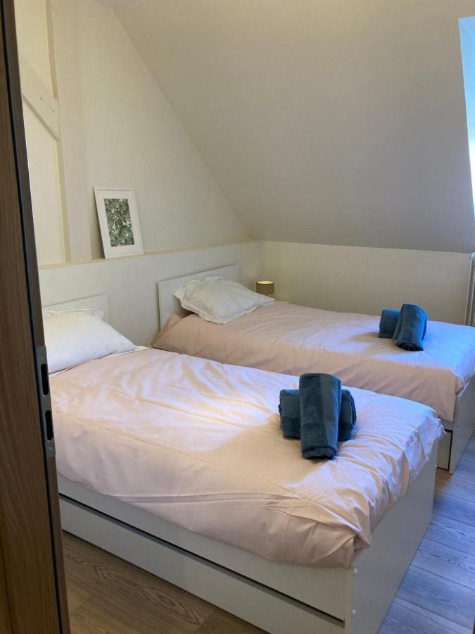 Les Moulins Tres Agreable Et Idealement Situe Apartment Colmar Exterior photo